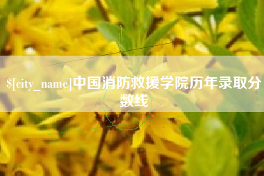 邹平中国消防救援学院历年录取分数线