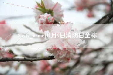 邹平11月9日消防日全称
