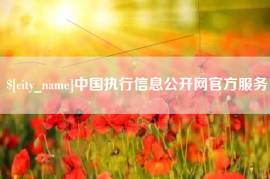 邹平中国执行信息公开网官方服务
