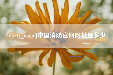 邹平中国消防官网网址是多少