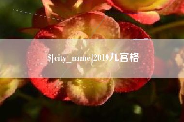 邹平2019九宫格