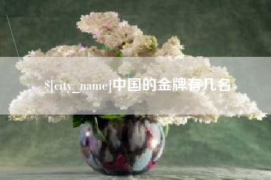 邹平中国的金牌有几名