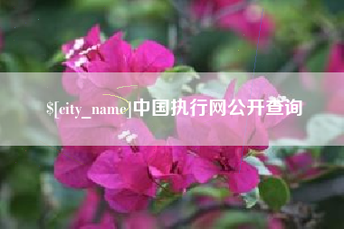 邹平中国执行网公开查询