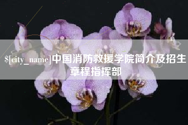 邹平中国消防救援学院简介及招生章程指挥部