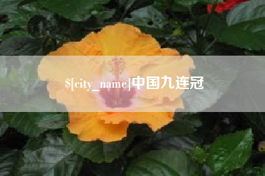 邹平中国九连冠