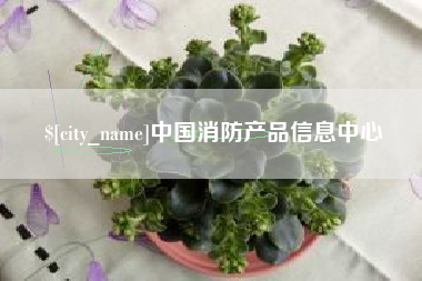 邹平中国消防产品信息中心