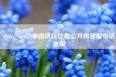 邹平中国执行信息公开网客服电话查询