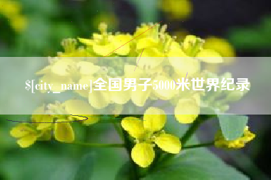 邹平全国男子5000米世界纪录
