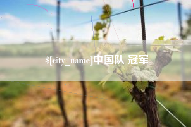 邹平中国队 冠军