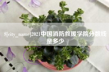邹平2021中国消防救援学院分数线是多少