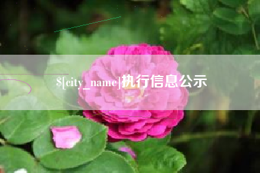 邹平执行信息公示