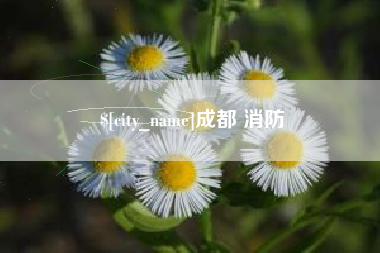 邹平成都 消防