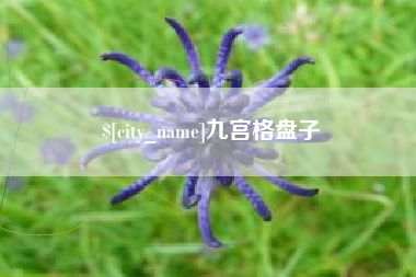 邹平九宫格盘子