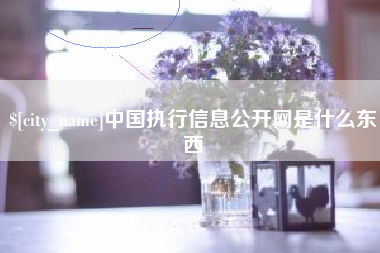 邹平中国执行信息公开网是什么东西