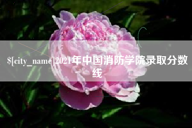 邹平2021年中国消防学院录取分数线
