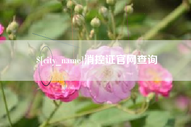邹平消控证官网查询