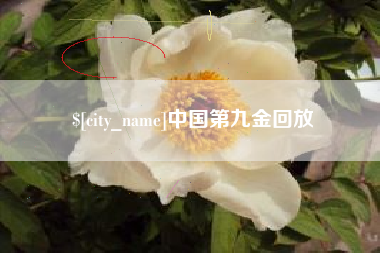 邹平中国第九金回放