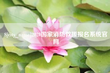 邹平2020国家消防救援报名系统官网