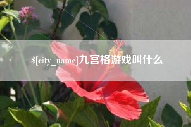 邹平九宫格游戏叫什么