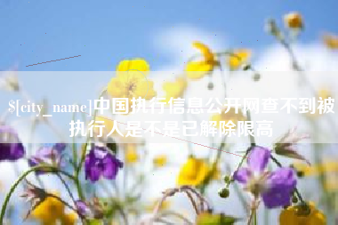 邹平中国执行信息公开网查不到被执行人是不是已解除限高