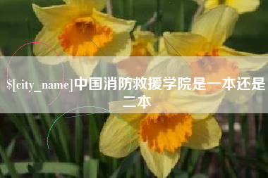 邹平中国消防救援学院是一本还是二本