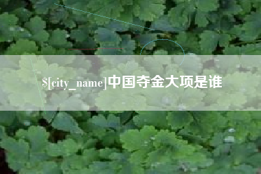 邹平中国夺金大项是谁