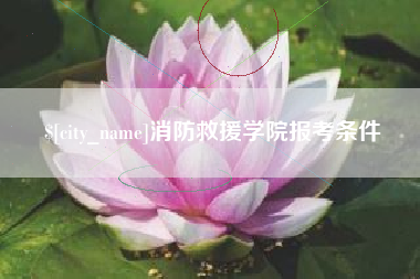 邹平消防救援学院报考条件