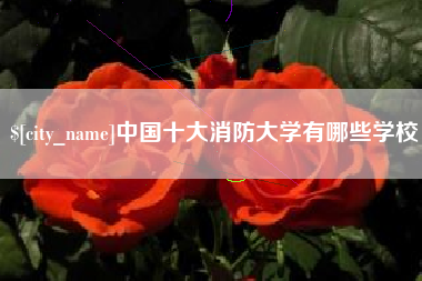 邹平中国十大消防大学有哪些学校