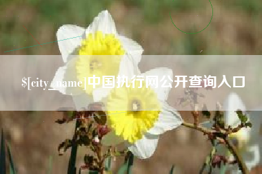 邹平中国执行网公开查询入口