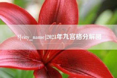 邹平2021年九宫格分解图