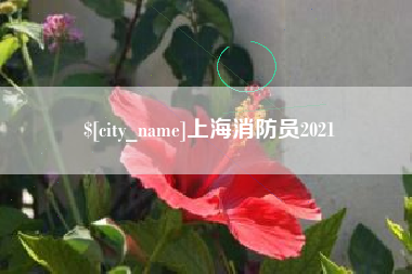 邹平上海消防员2021