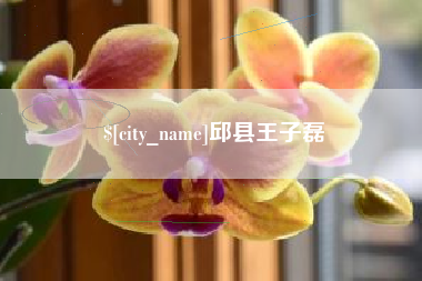 邹平邱县王子磊