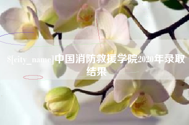 邹平中国消防救援学院2020年录取结果