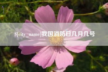 邹平我国消防日几月几号