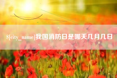 邹平我国消防日是哪天几月几日
