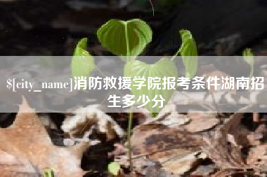 邹平消防救援学院报考条件湖南招生多少分