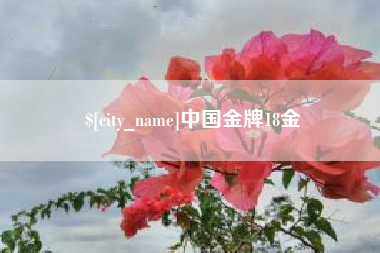 邹平中国金牌18金