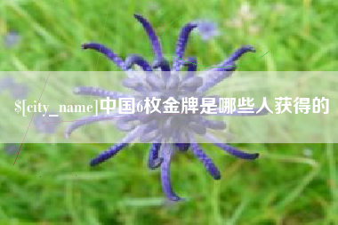 邹平中国6枚金牌是哪些人获得的