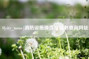 邹平消防设施操作员证书查询网址