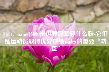 邹平5000米世界冠军穿什么鞋-它们是运动员取得优异成绩背后的重要“功臣”