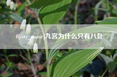 邹平九宫为什么只有八卦