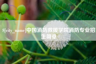 邹平中国消防救援学院消防专业招生简章