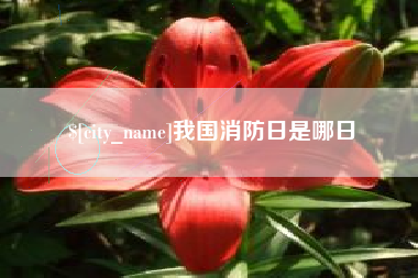 邹平我国消防日是哪日
