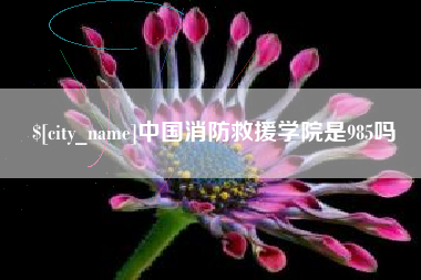 邹平中国消防救援学院是985吗