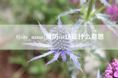 邹平消防ccc认证什么意思