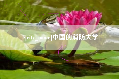 邹平中国的消防大学