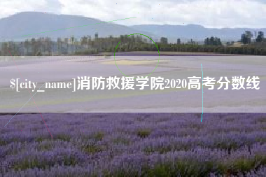 邹平消防救援学院2020高考分数线