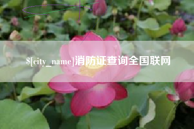 邹平消防证查询全国联网