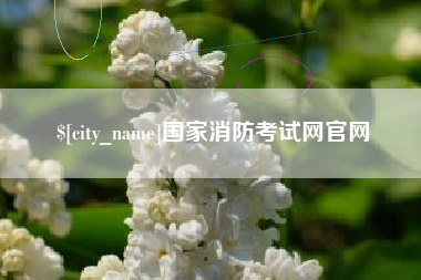 邹平国家消防考试网官网
