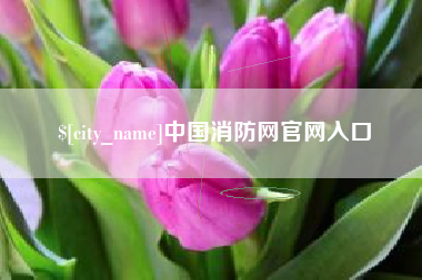 邹平中国消防网官网入口